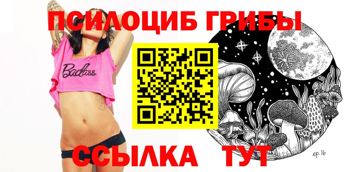 Удомля  Галлюциногенные грибы Psilocybe  наркота  Вход с VPN 
