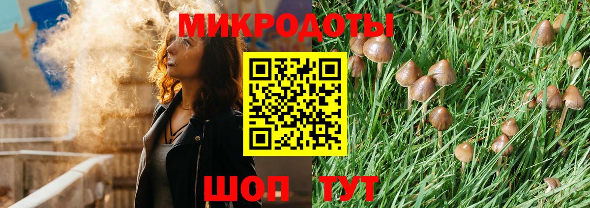 Псилоцибиновые грибы Psilocybe Удомля